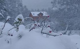 Chalet bois au milieu des Pyrénées